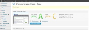 GTmetrix WordPress Dashboard